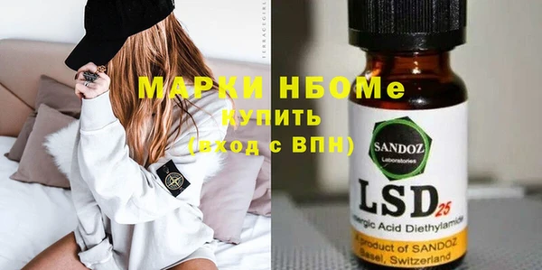 прущие грибы Ельня