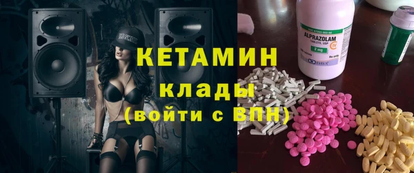прущие грибы Ельня