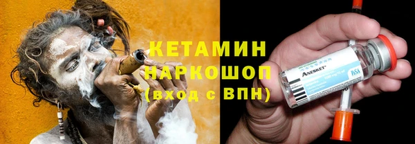 прущие грибы Ельня