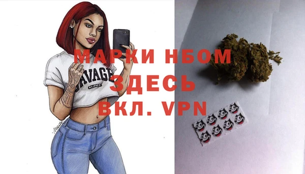 прущие грибы Ельня