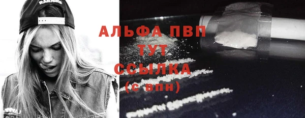 прущие грибы Ельня