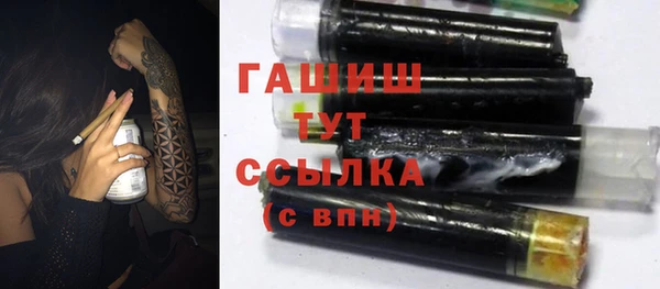 прущие грибы Ельня