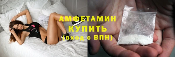 прущие грибы Ельня