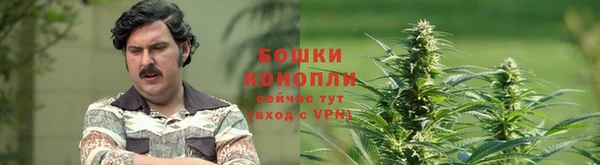 гашишное масло Дмитриев