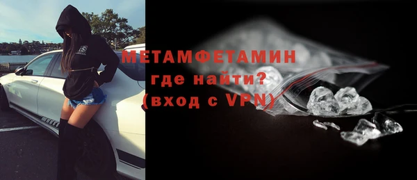 прущие грибы Ельня
