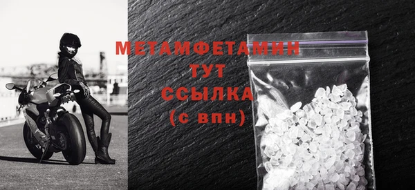 прущие грибы Ельня
