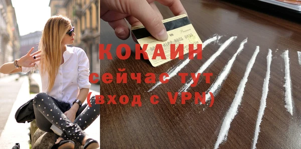 кокс Елизово