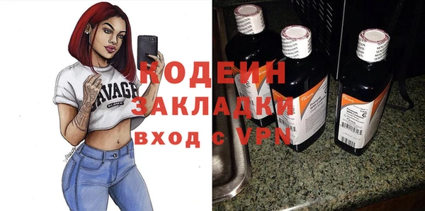 прущие грибы Ельня