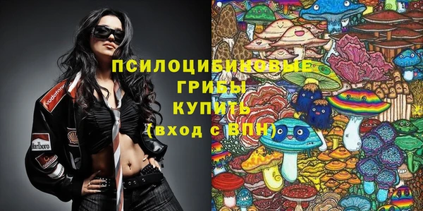 кокс Елизово