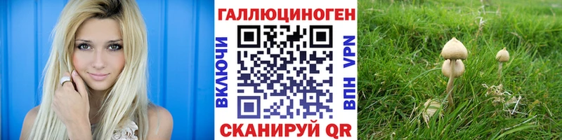 Псилоцибиновые грибы ЛСД  закладки  KRAKEN как войти  Саяногорск 