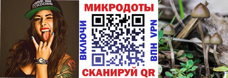 Псилоцибиновые грибы ЛСД Саяногорск