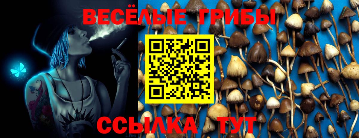 купить  сайты  Галлюциногенные грибы мухоморы  Вход с VPN  Саяногорск  Галлюциногенные грибы мухоморы 